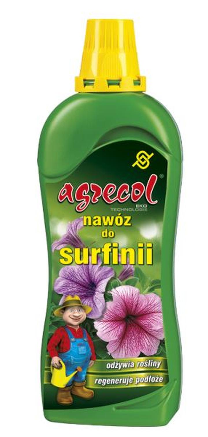 Nawożenie surfinii