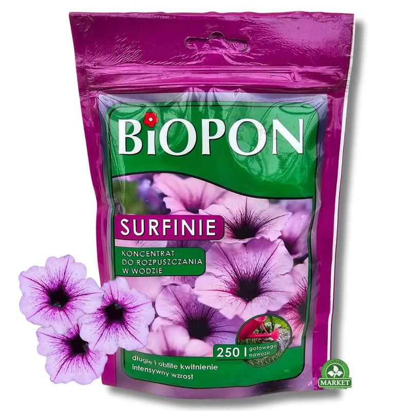 Jak skutecznie nawozić surfinię? Sprawdzone porady na kiedy i czym to robić