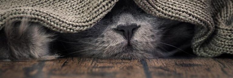 Odkryj najbezpieczniejsze metody ogrzewania dla osób z alergiami